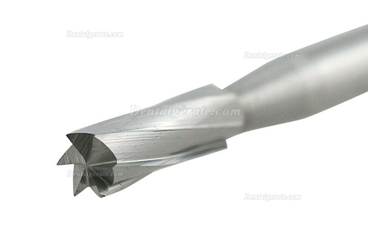 10 St&uuml;ck FG SURG 60# FG-Schaft Hartmetallbohrer Zahnmedizin Gerader Spaltkopf (zylindrisch) Hartmetallbohrer Zahnbohrer